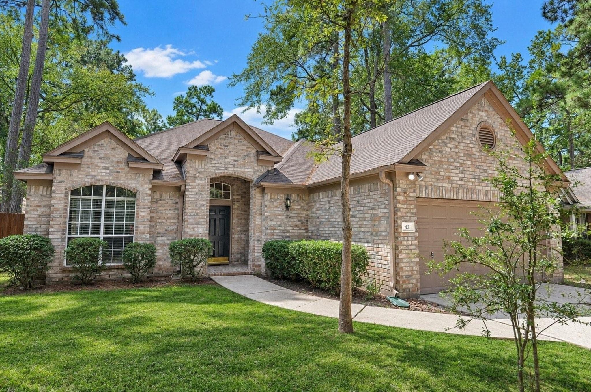 43 S Lace Arbor Drive