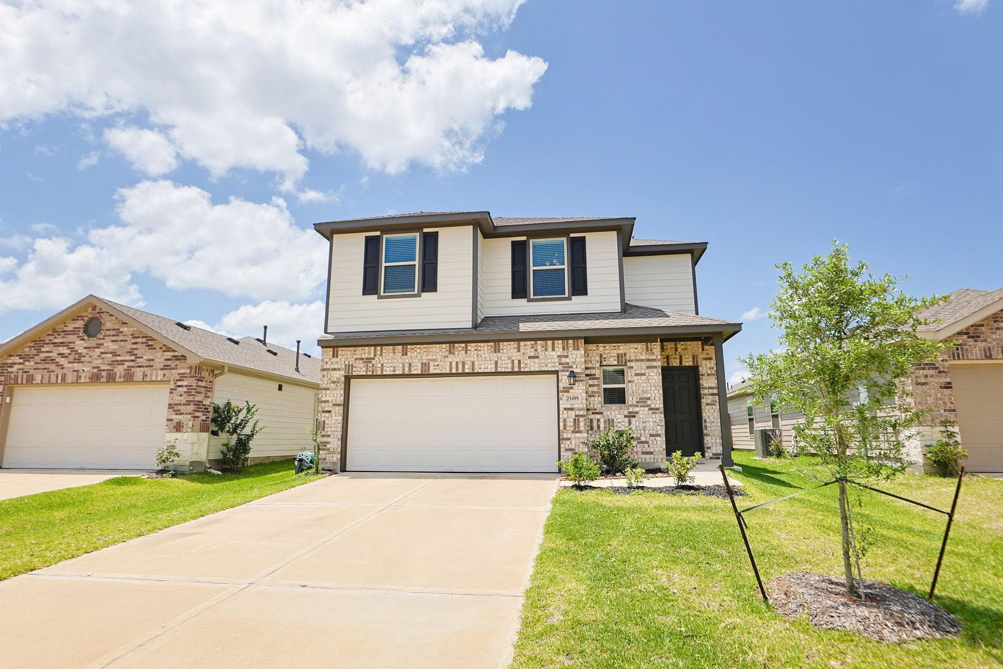 25499 Blue Mistflower Drive