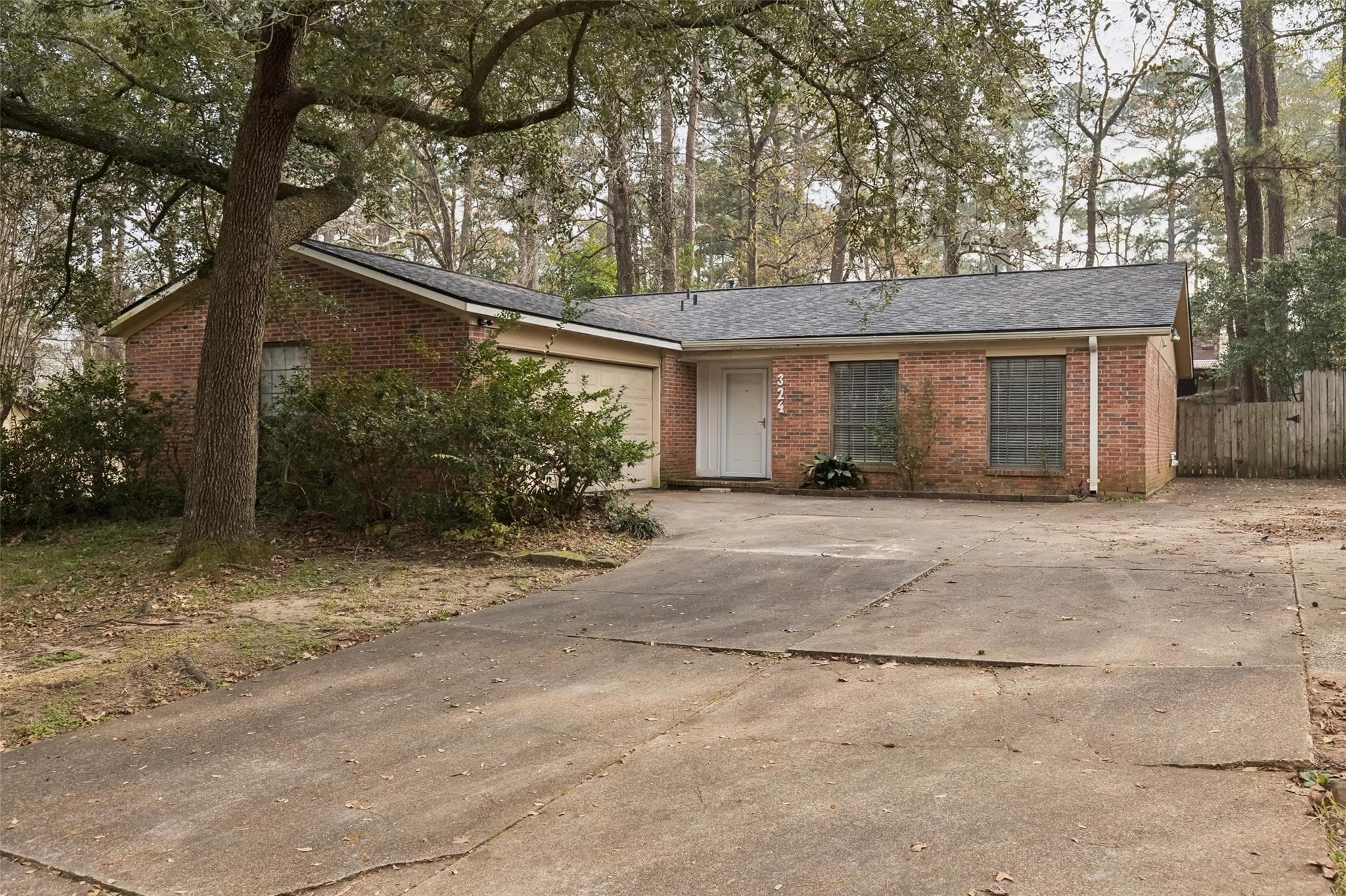 324 Olive Street